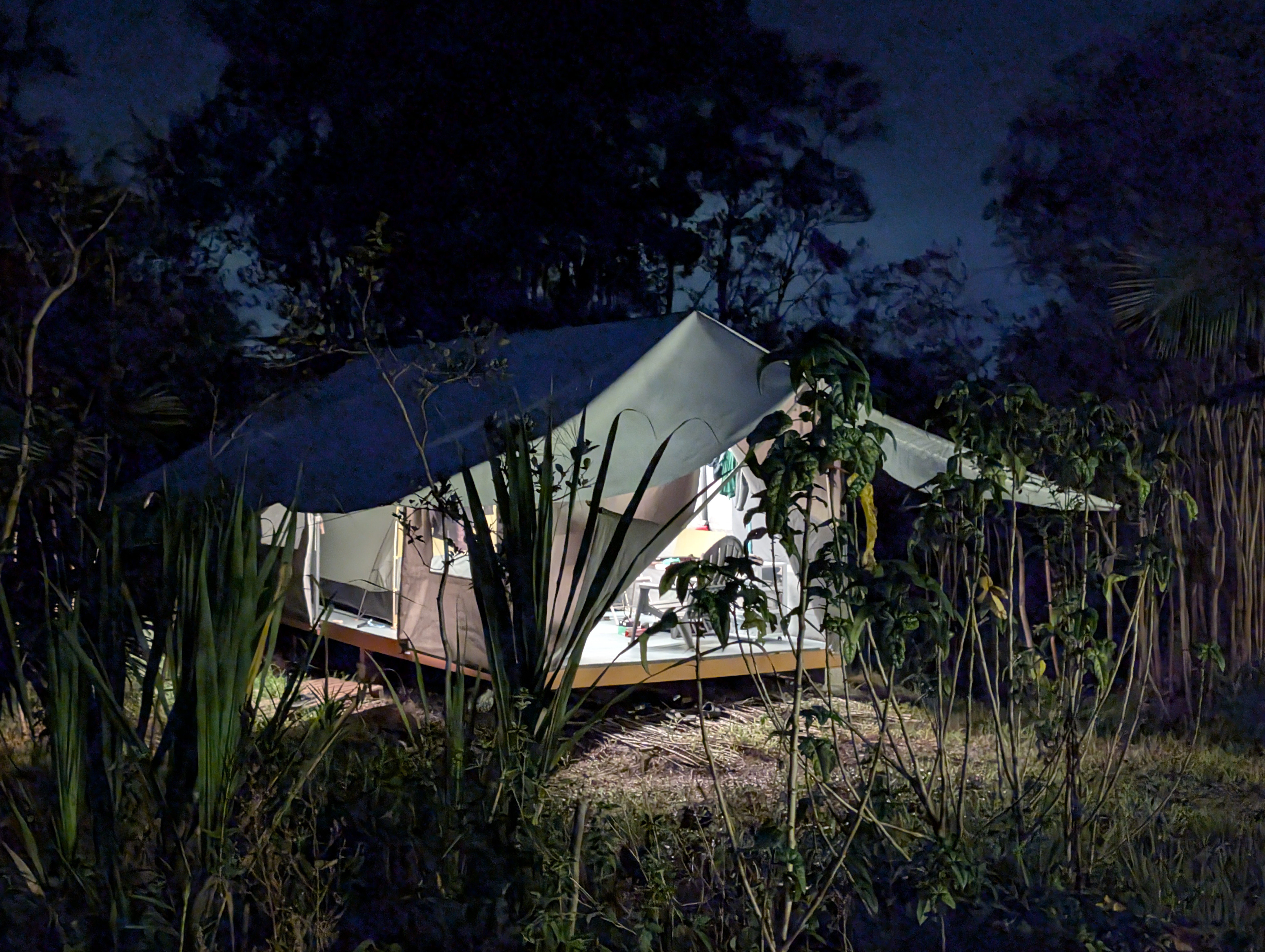Night tent and tarp in the trees