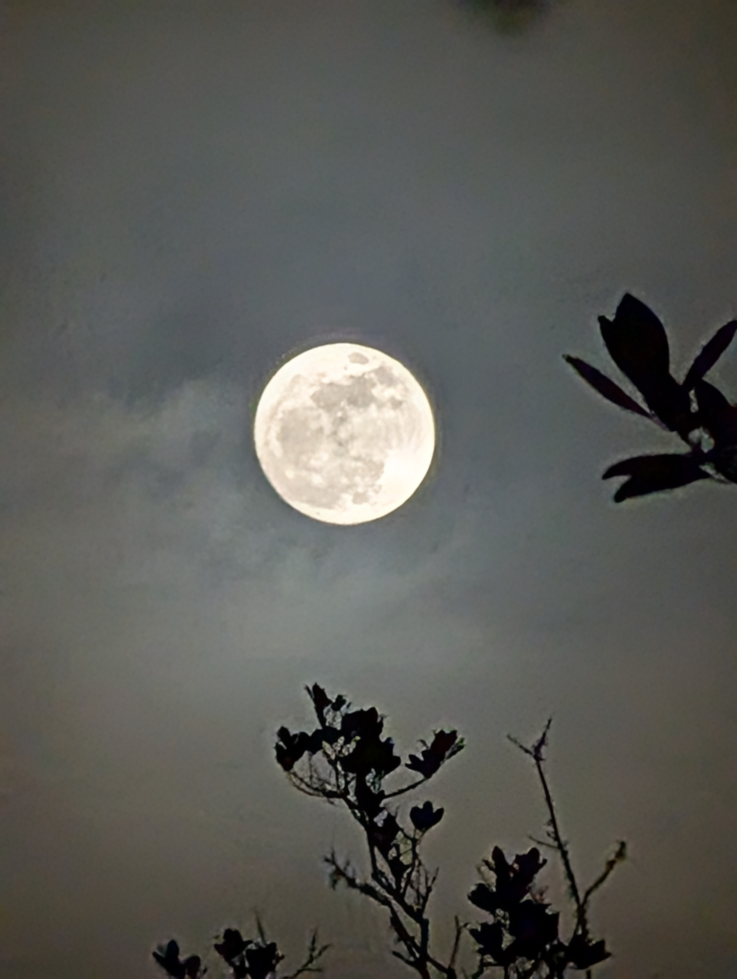 Full moon