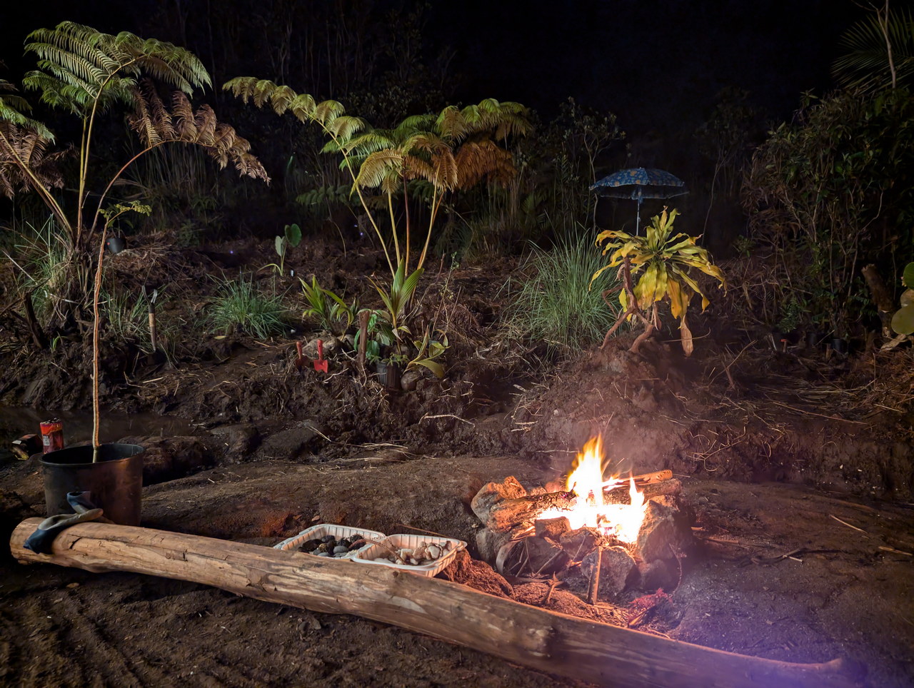 fire circle at dusk